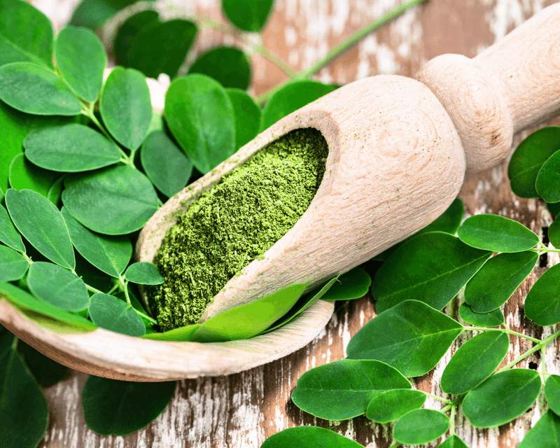 Moringa Leaves