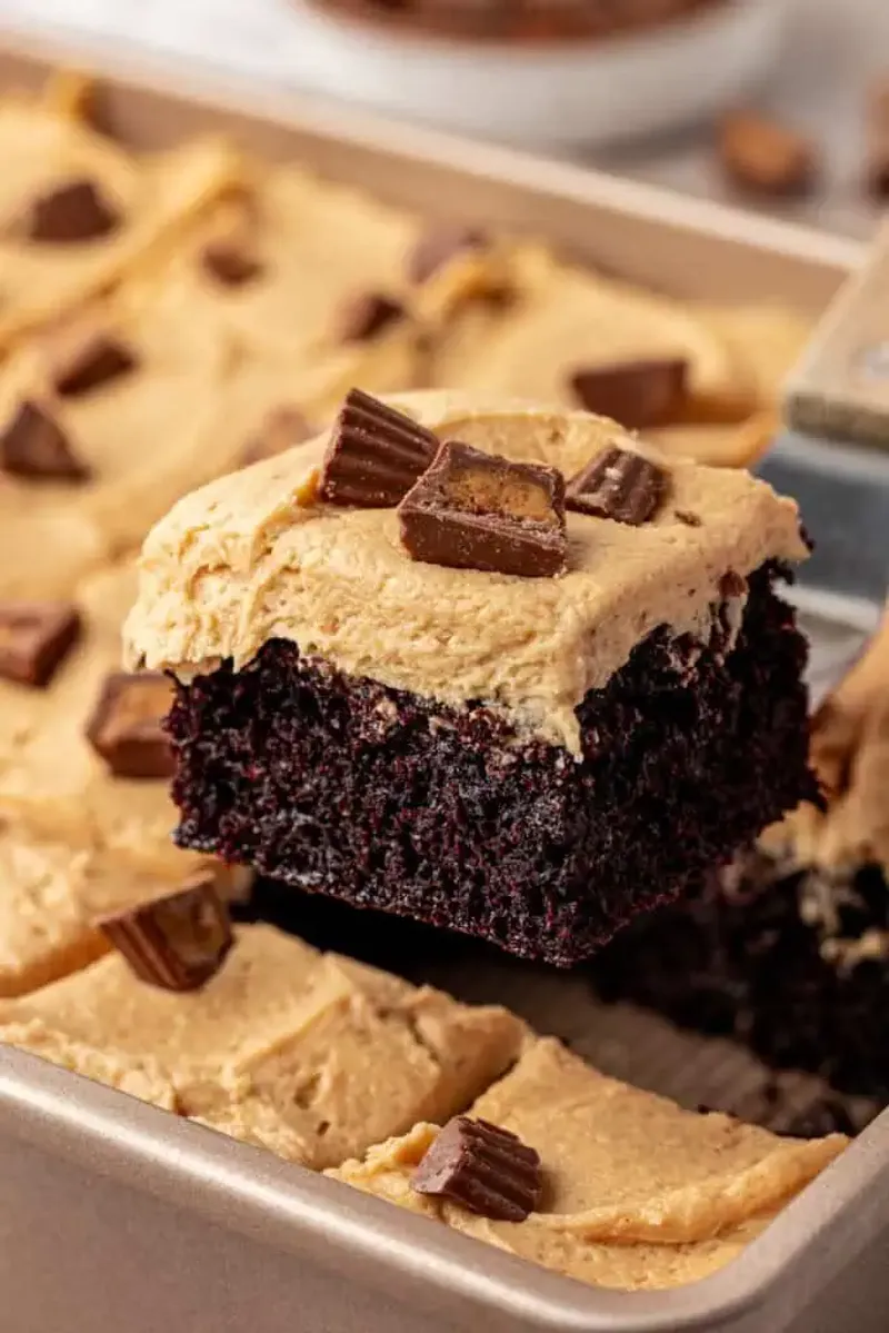 Chocolate Peanut Butter Sheet Cake