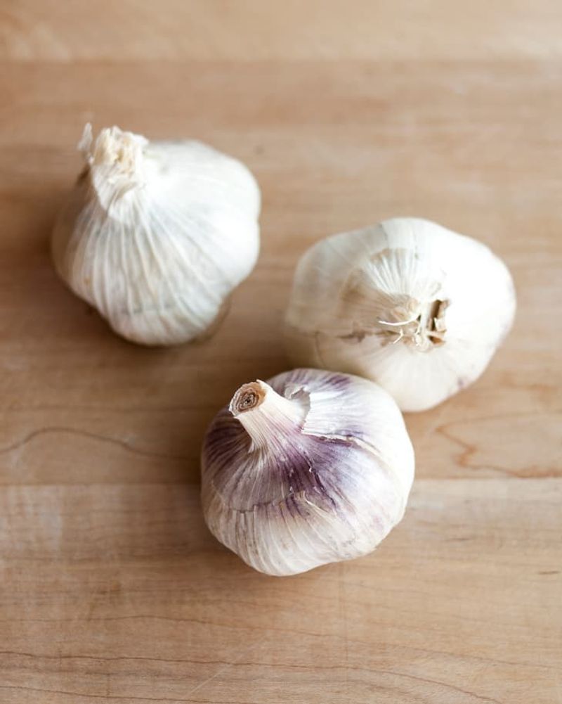 Garlic