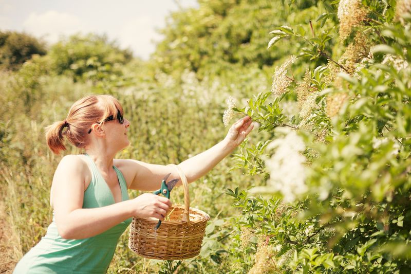 Britain Has a Rich History of Foraging