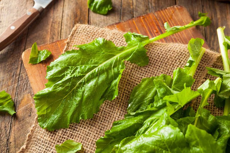 Turnip Greens