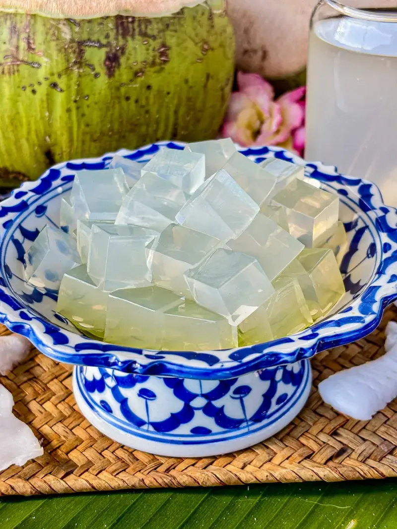Coconut Jelly (Nata de Coco Style)