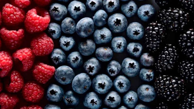 Berries (Mixed)