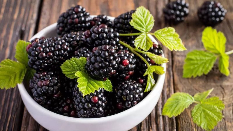 Extra Dark Berries - Blackberries