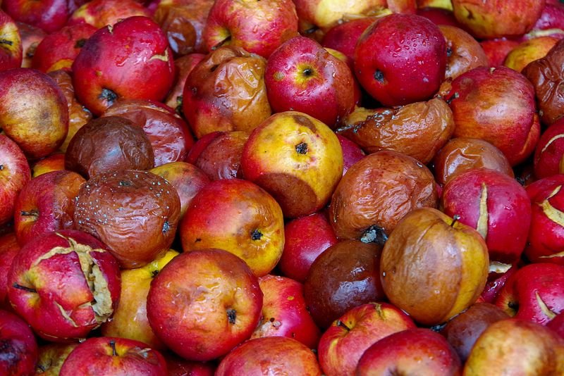 Apples
