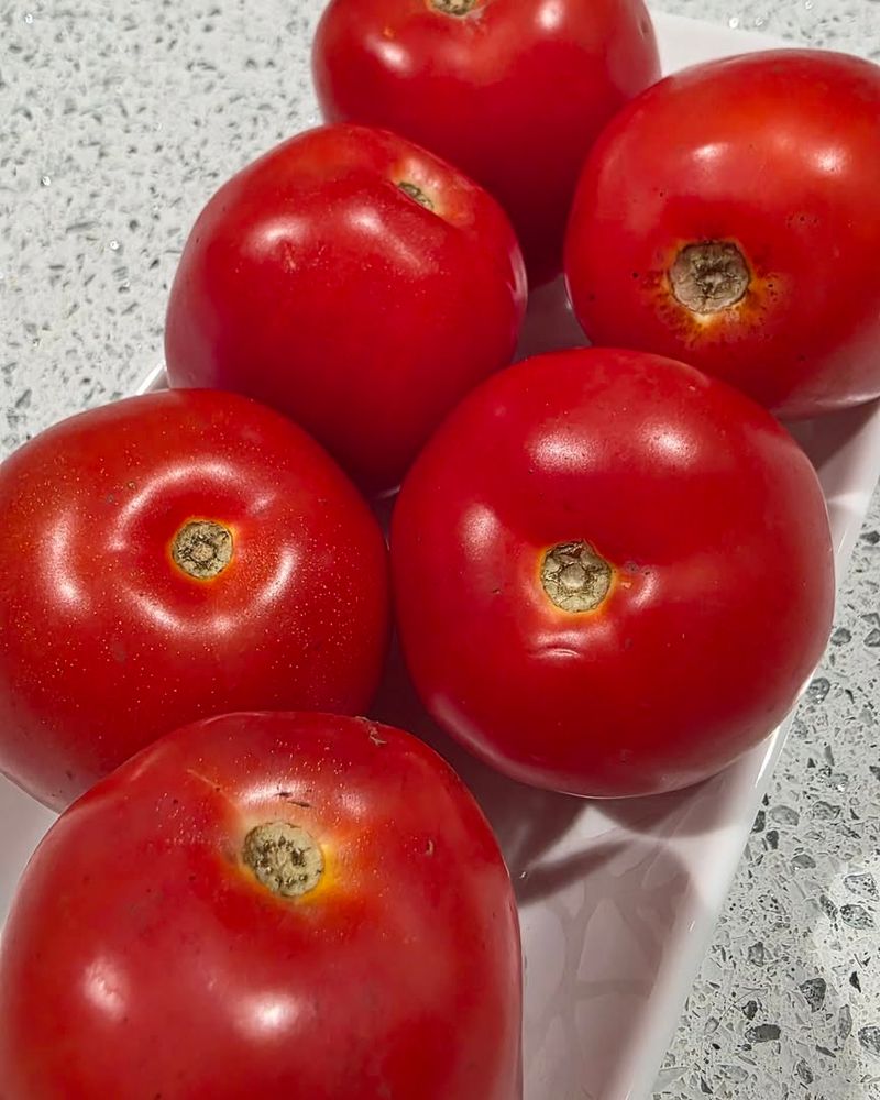 Tomatoes