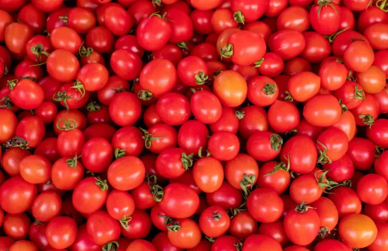 Tomatoes