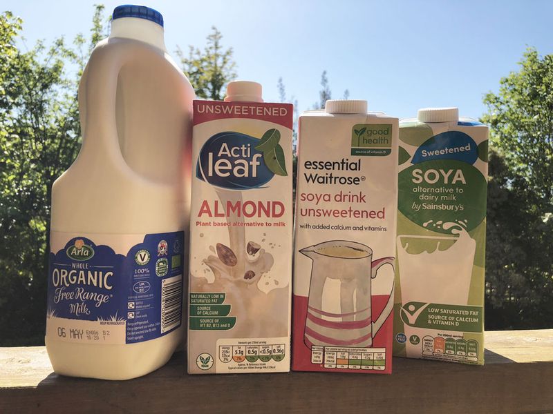 Fortified Milk and Yoghurt