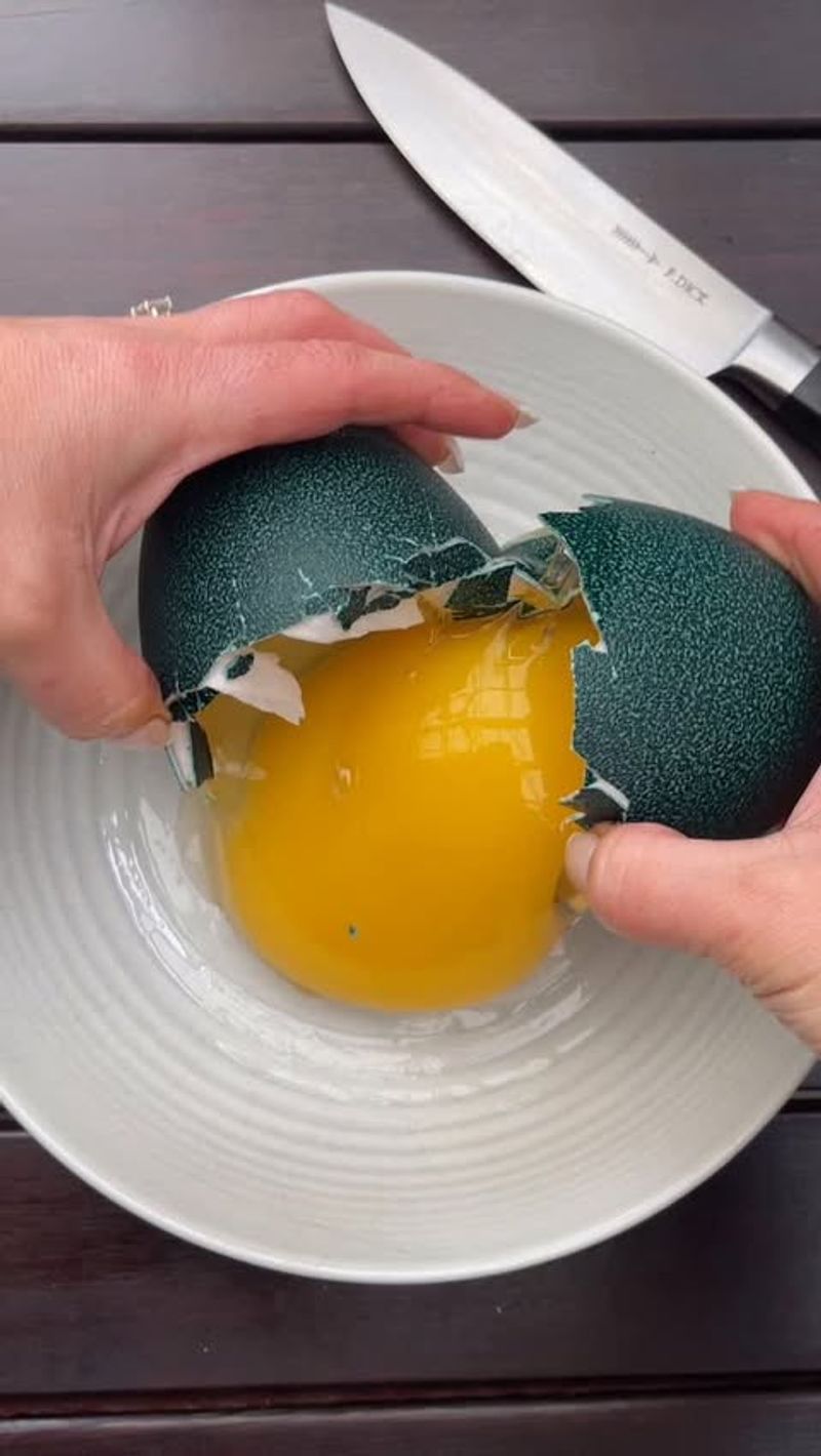 Emu Egg Omelette