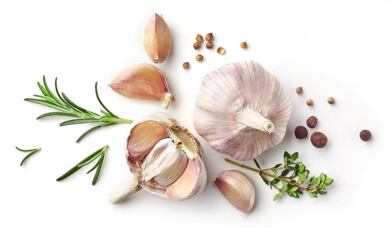 Garlic Allium