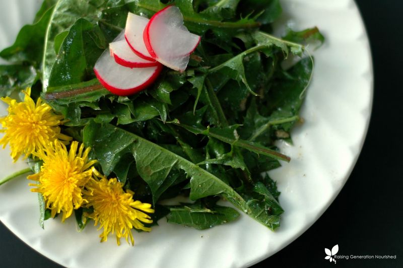 Dandelion Green Salad with Flower Vinaigrette