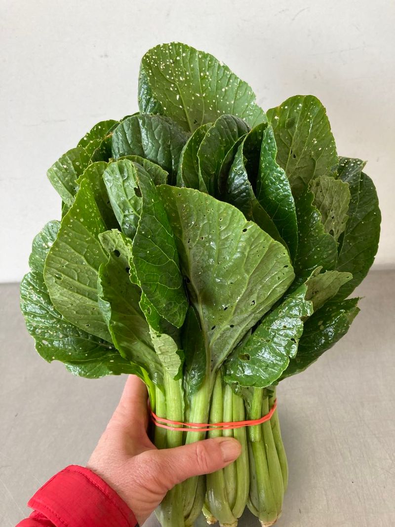 Komatsuna (Japanese Mustard Spinach)