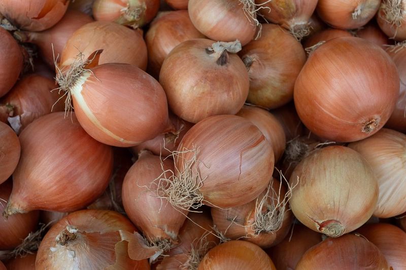 Onions