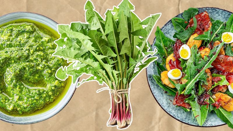 Dandelion Greens