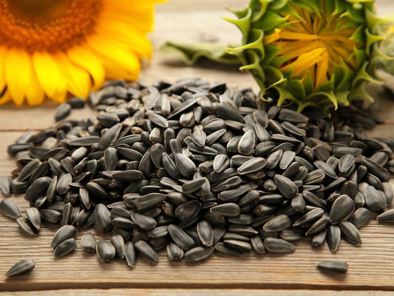 Sunflower Seeds