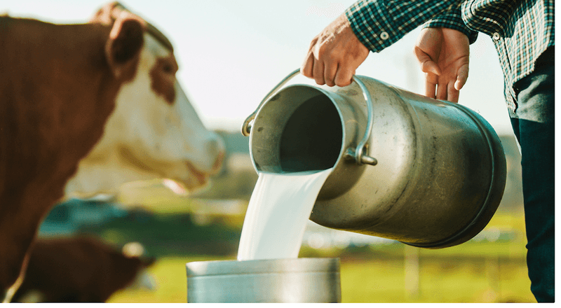 Unpasteurized Milk Faces Bans Across Many U.S. States