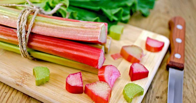 Rhubarb