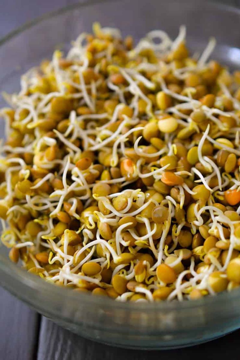 They Are a Great Source of Plant-Based Protein