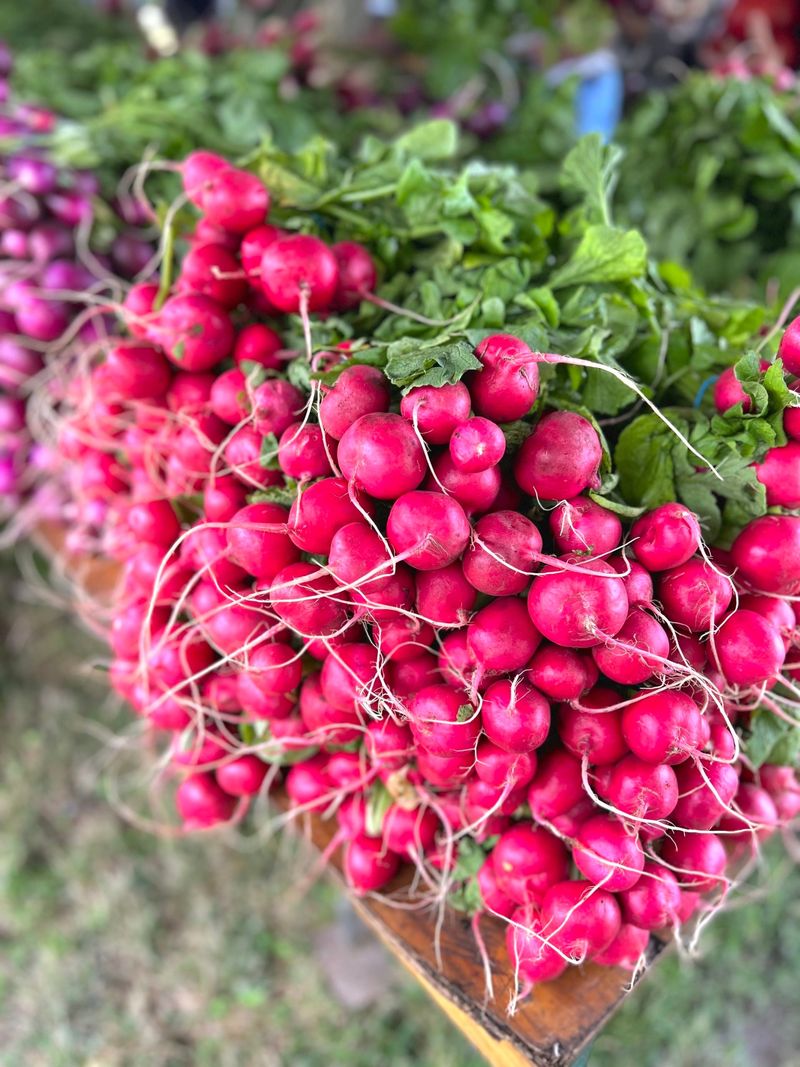 Radishes