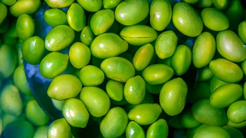 Edamame Beans
