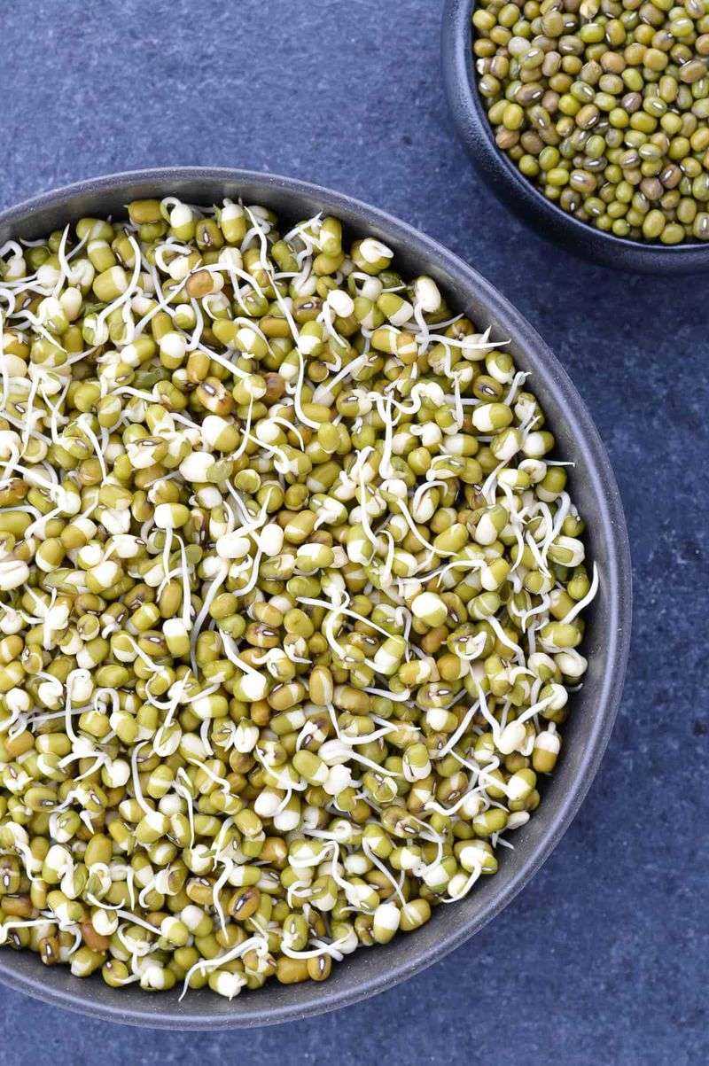 Mung Bean Sprouts