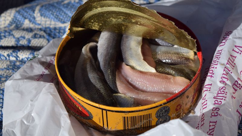 Surströmming (Fermented Swedish Herring)