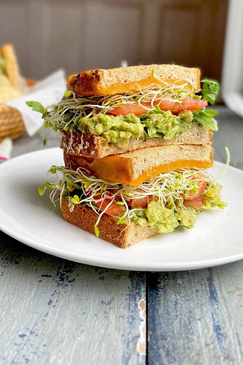 Sprouts Are Incredibly Versatile in the Kitchen