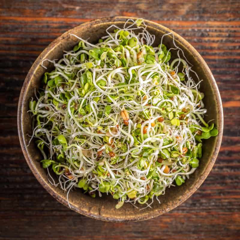 Sprouts Improve Nutrient Absorption