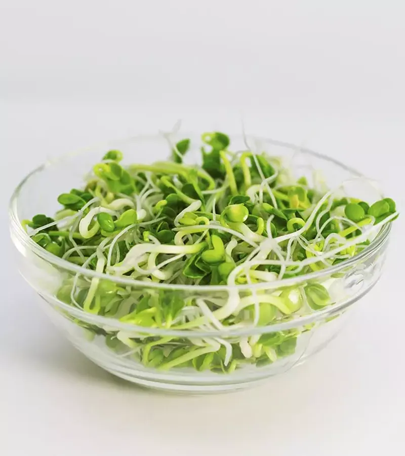 Sprouts Support Healthy Skin and Hair