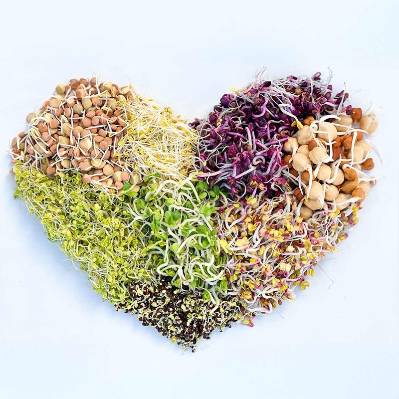 Sprouts Support Heart Health