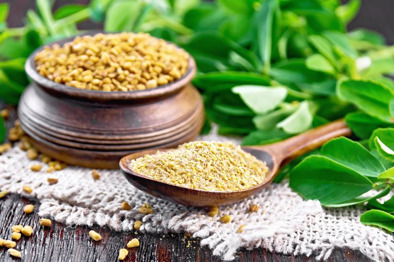 Fenugreek