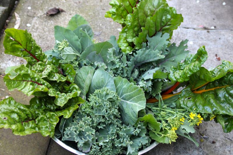 Leafy Greens