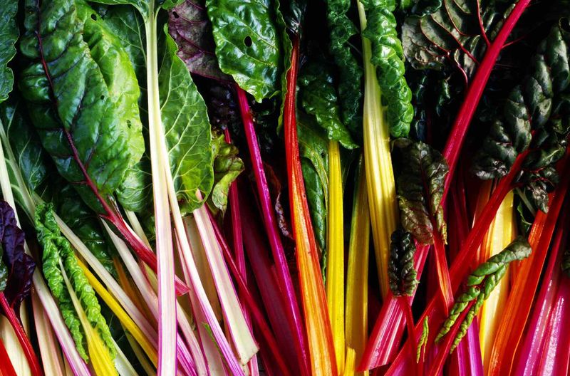Swiss Chard