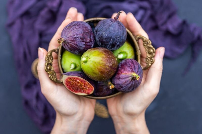 Figs