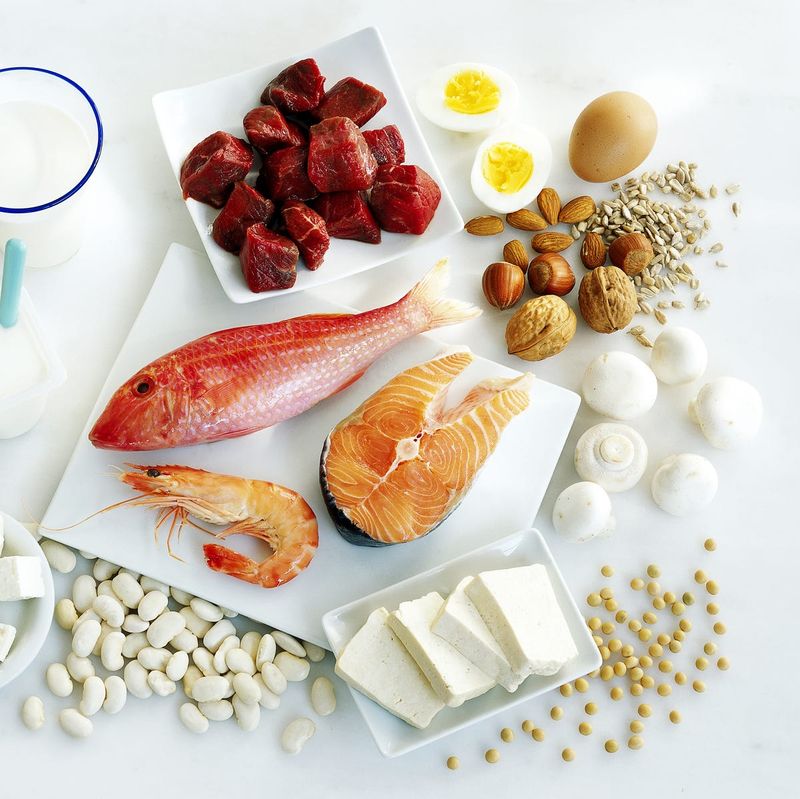 High-Protein Diets Are Only for Bodybuilders