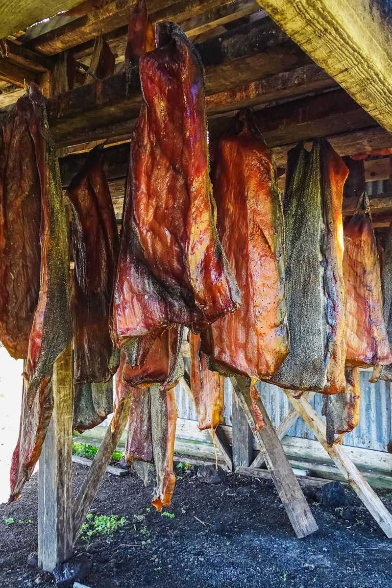 Hákarl – Fermented Greenlandic Shark (Iceland)