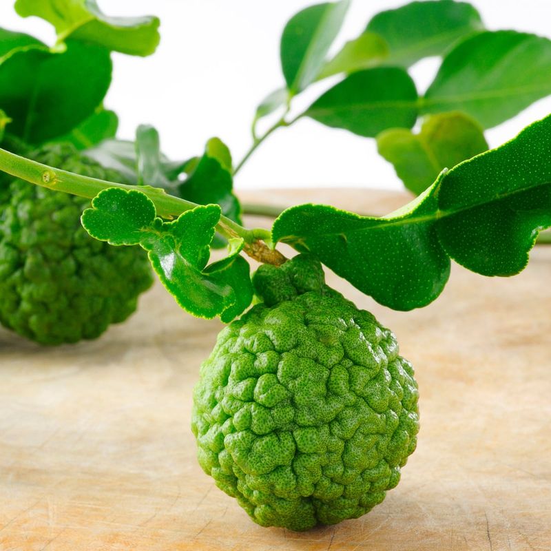 Makrut Lime Zest (Southeast Asia)