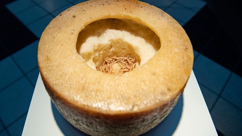 Casu Martzu (Maggot Cheese)