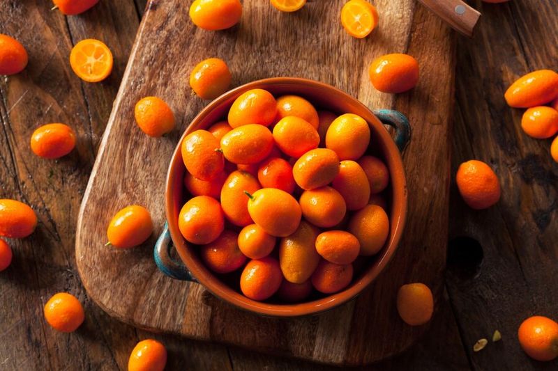 Kumquat