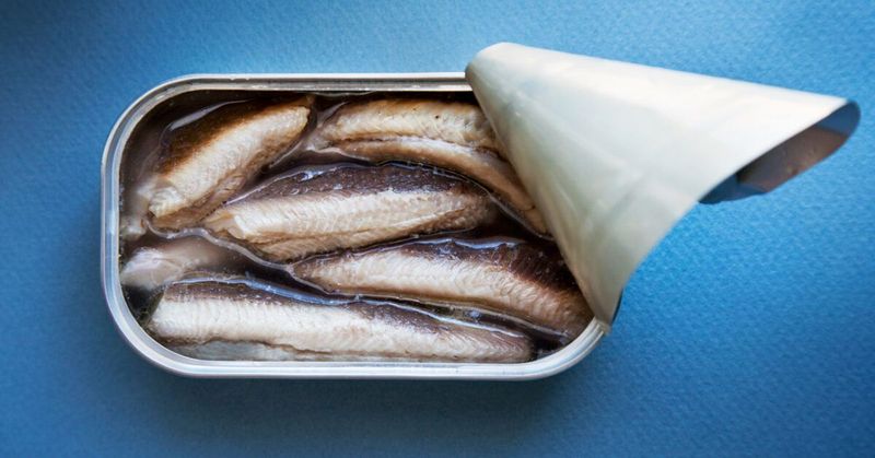 Sardines