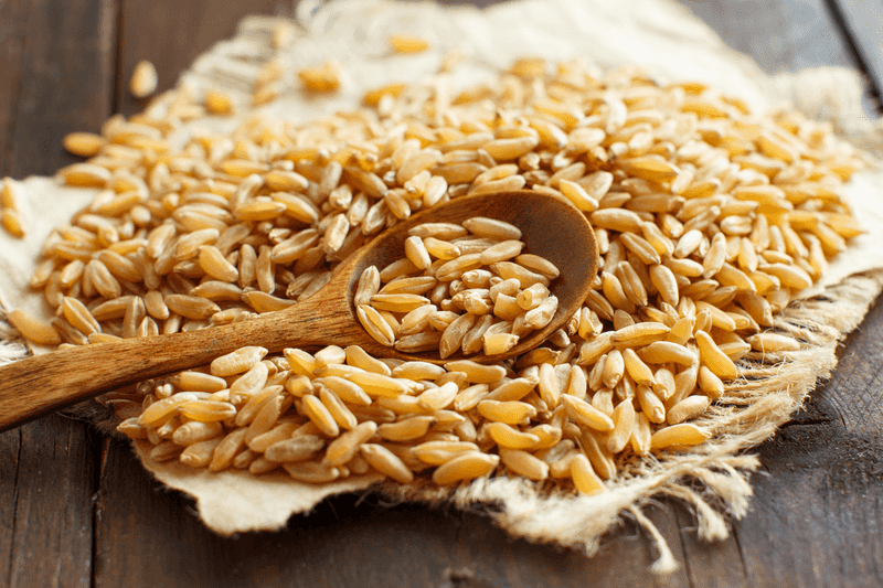 Kamut (Khorasan Wheat)