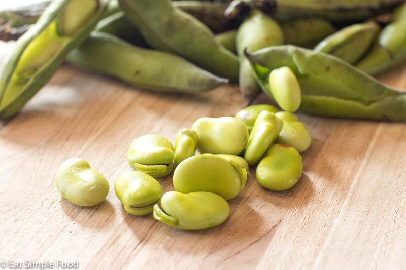 Fava Beans