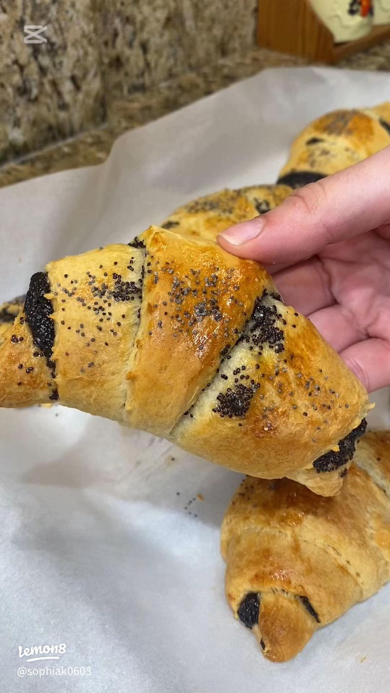 Poppy Seeds and Powdered Sugar (Poland and Czech Republic)