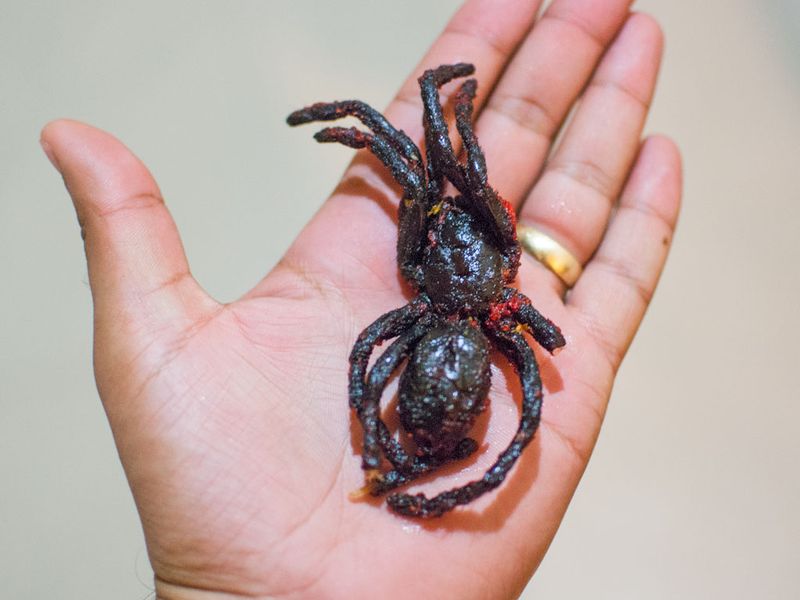 Fried Tarantulas