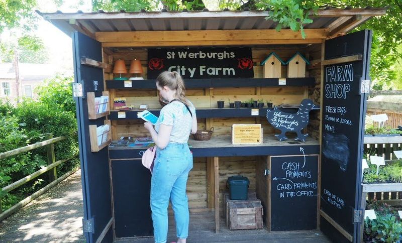 St. Werburgh's City Farm Market