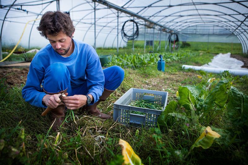 Educate Yourself on Organic Farming Benefits
