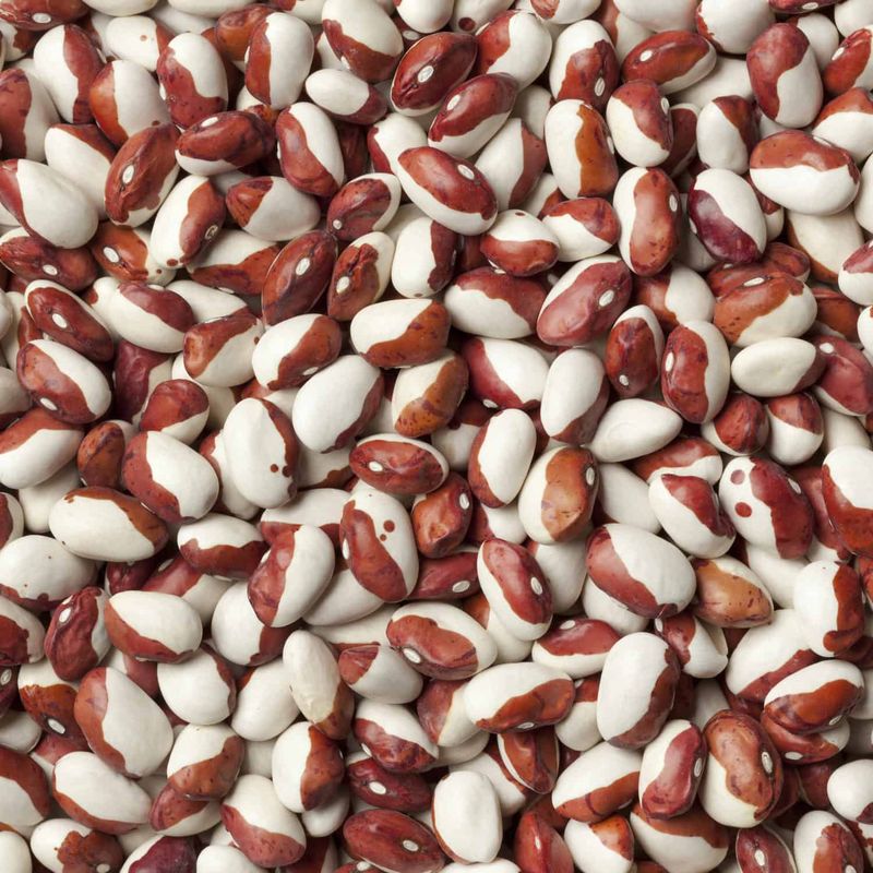 Anasazi Beans