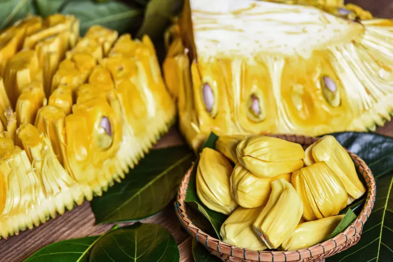 Jackfruit