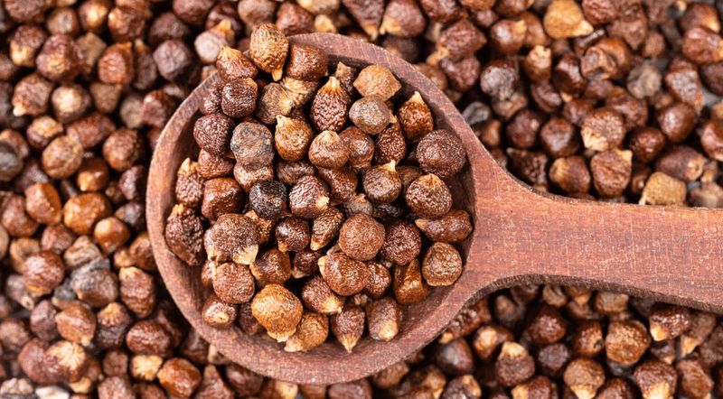 Grains of Paradise