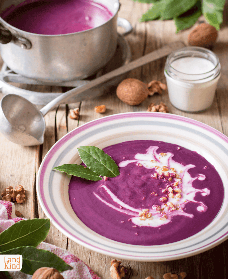 Rote Bete Suppe (German Beet Soup)
